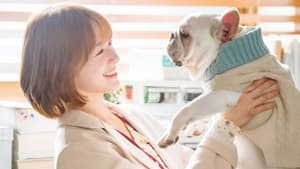 A Good Day to be a Dog Season 1 Episode 3